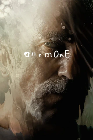 Anemone (Anemone) [2025]